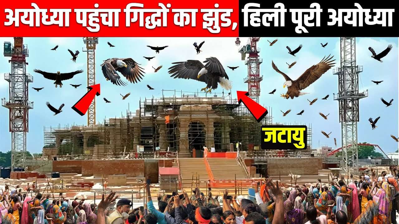 Sudden Arrival of Hundreds of Vultures in Ayodhya: World Astonished at the Sight of Jatayu